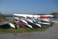 Rorvik2019-011