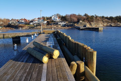 Palisad